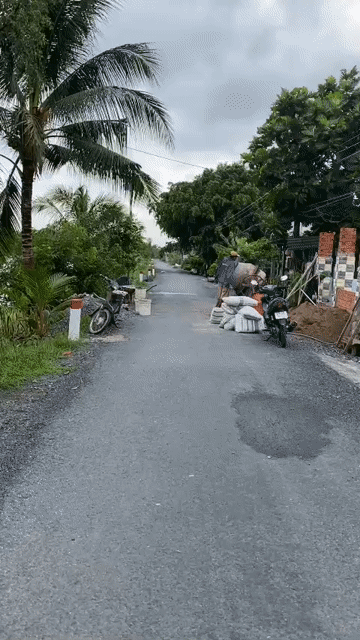 Mua bán Đất Huyện Thủ Thừa Long An diện tích 3000 m² giá 9,8 tỷ