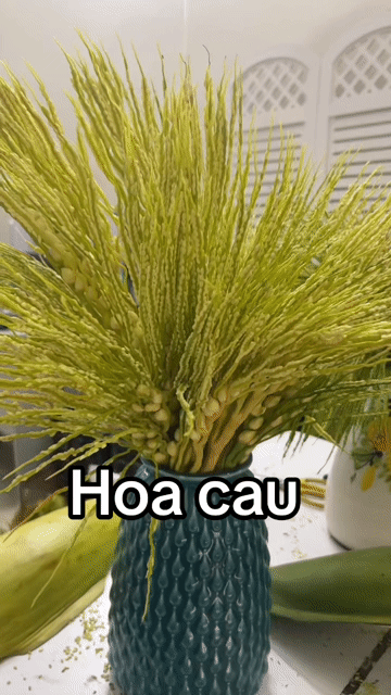 Hoa phong thủy Hoa cau. Mua bán Cây cảnh, đồ trang trí tại Huyện Thanh Trì Hà Nội được đăng bởi Thuỷ hình 1