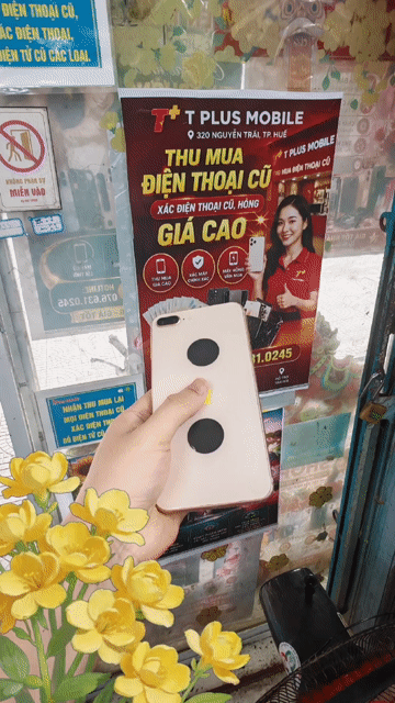 Apple iPhone 8 Plus 64GB Đẹp như mới. Mua bán Điện thoại tại Thành phố Huế Thừa Thiên Huế được đăng bởi T PLUS MOBILE MUA BÁN ĐIỆN THOẠI hình 1