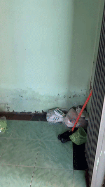 Cho thuê Nhà ở Thành phố Phan Thiết Bình Thuận diện tích 120 m² giá 2 triệu/tháng