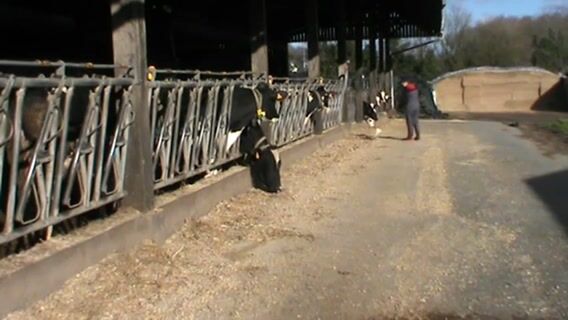 Une ferme à l'école     4554jfmfsaison5