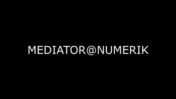 mediator@numerik