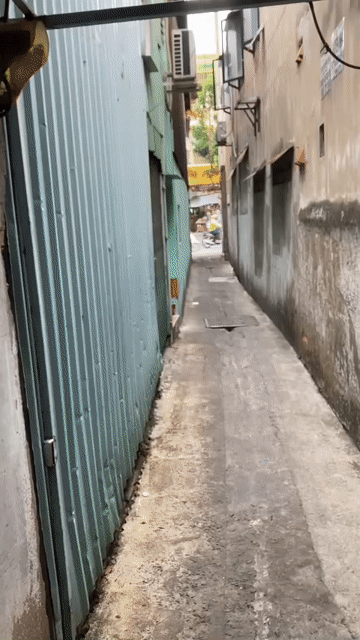 Cho thuê Nhà ở Quận Tân Bình Tp Hồ Chí Minh diện tích 40 m² giá 10 triệu/tháng