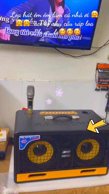 Loa karaoke  Mới 100%. Mua bán Tivi, Âm thanh tại Quận Ninh Kiều Cần Thơ được đăng bởi DTD hình 1