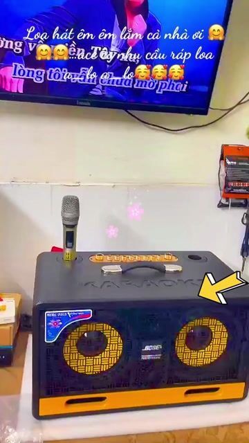 Loa karaoke  Mới 100%. Mua bán Tivi, Âm thanh tại Quận Ninh Kiều Cần Thơ được đăng bởi DTD hình 1