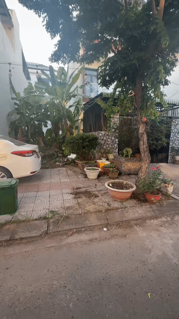 Mua bán Đất Quận Cẩm Lệ Đà Nẵng diện tích 100 m² giá 6,35 tỷ