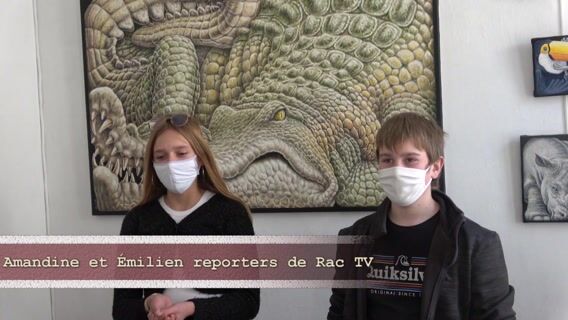 Cheminement professionnel d'un artiste