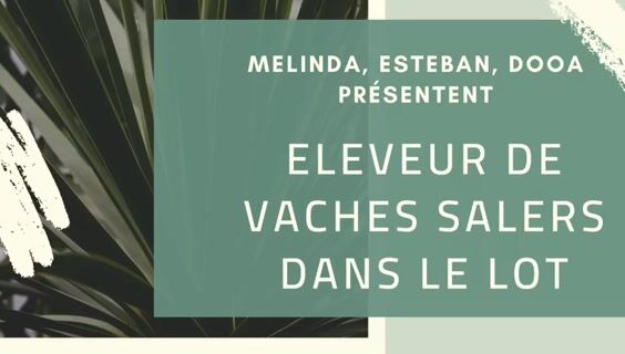 Eleveuse de vaches salers dans le Lot