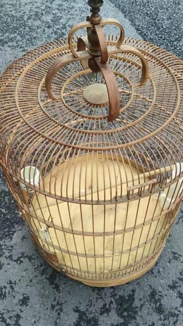 Lồng chim tre Chòe than Chào mào. Mua bán Phụ kiện, Thức ăn, Dịch vụ tại Quận Phú Nhuận Tp Hồ Chí Minh được đăng bởi Tuấn hình 1