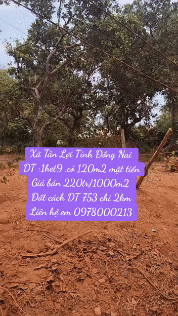 Mua bán Đất Huyện Đồng Phú Bình Phước diện tích 18000 hecta giá 350 triệu