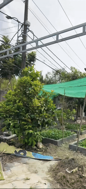 Cho thuê Nhà ở Huyện Nhà Bè Tp Hồ Chí Minh diện tích 361 m² giá 6 triệu/tháng