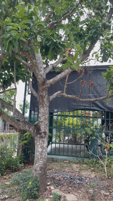 Mua bán Đất Huyện Tân Phú Đồng Nai diện tích 114 m² giá 780 triệu
