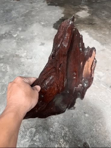 Lũa trang trí hồ cá Gỗ Nâu đen. Mua bán Phụ kiện, Thức ăn, Dịch vụ tại Quận Sơn Trà Đà Nẵng được đăng bởi Vinh vu hình 1