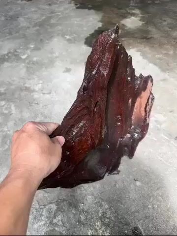 Lũa trang trí hồ cá Gỗ Nâu đen. Mua bán Phụ kiện, Thức ăn, Dịch vụ tại Quận Sơn Trà Đà Nẵng được đăng bởi Vinh vu hình 1