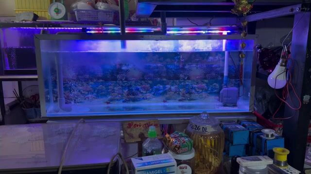 Hồ cá cảnh 90x33x19 cm,lộc 3 ky siu trong. Mua bán Phụ kiện, Thức ăn, Dịch vụ tại Thành phố Thủ Đức Tp Hồ Chí Minh được đăng bởi trọng tính hình 1