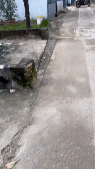 Mua bán Nhà ở Quận Liên Chiểu Đà Nẵng diện tích 94 m² giá 2,05 tỷ