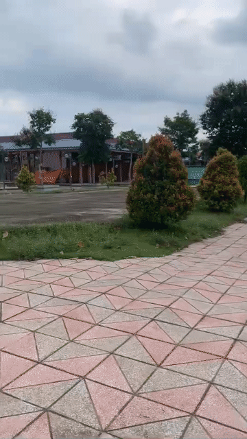 Mua bán Đất Khu đô thị phức hợp - cảnh quan Cát Tường Phú Hưng Thành phố Đồng Xoài Bình Phước diện tích 115 m² giá 990 triệu