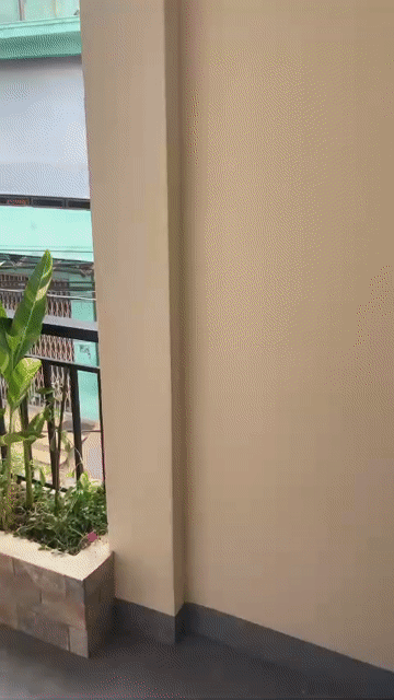 Cho thuê Phòng trọ Thành phố Huế Thừa Thiên Huế diện tích 18 m² giá 2,5 triệu/tháng