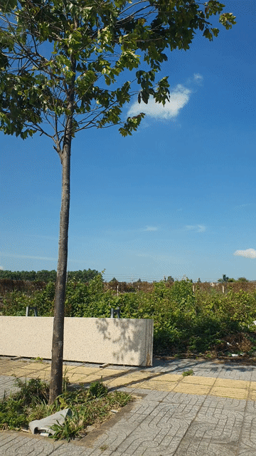 Mua bán Đất Thành phố Bà Rịa Bà Rịa - Vũng Tàu diện tích 360 m² giá 18 tỷ