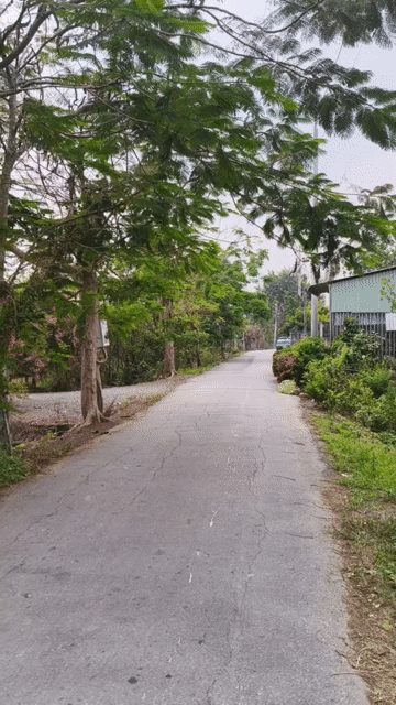 Mua bán Đất Huyện Bình Chánh Tp Hồ Chí Minh diện tích 180 m² giá 1,6 tỷ