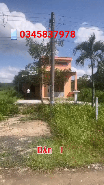 Mua bán Đất Huyện Đồng Phú Bình Phước diện tích 10299 m² giá 1,39 tỷ
