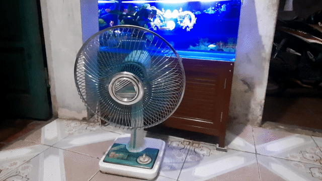 Quạt bàn Toshiba Xanh 30cm. Mua bán Quạt tại Huyện Văn Lâm Hưng Yên được đăng bởi Trần thị hồng hình 1