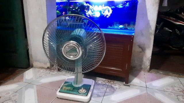 Quạt bàn Toshiba Xanh 30cm. Mua bán Quạt tại Huyện Văn Lâm Hưng Yên được đăng bởi Trần thị hồng hình 1