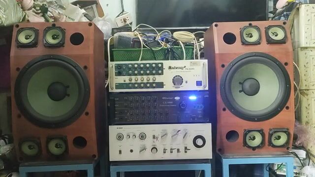 Loa karaoke Paramax S2000 bass 30cm 97%. Mua bán Tivi, Âm thanh tại Quận Ninh Kiều Cần Thơ được đăng bởi phuochoa hình 1