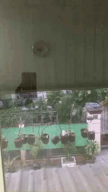 Cho thuê Nhà ở Thành phố Thủ Đức Tp Hồ Chí Minh diện tích 80 m² giá 8 triệu/tháng