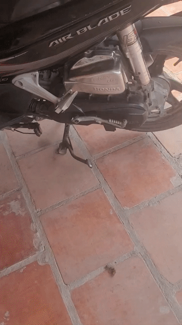 Honda Air Blade 2011 Đen. Mua bán Xe máy tại Huyện Gò Dầu Tây Ninh được đăng bởi QA hình 1