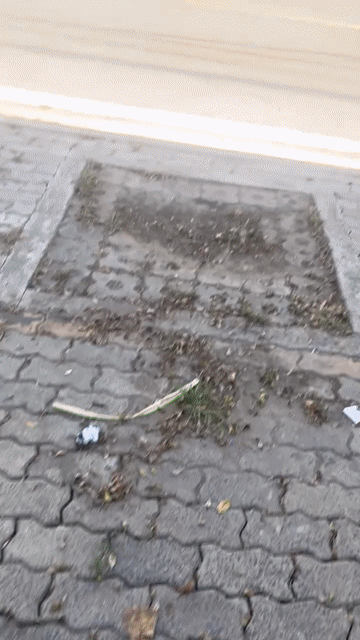 Cho thuê Văn phòng, Mặt bằng kinh doanh Huyện Nhà Bè Tp Hồ Chí Minh diện tích 280 m² giá 12 triệu/tháng