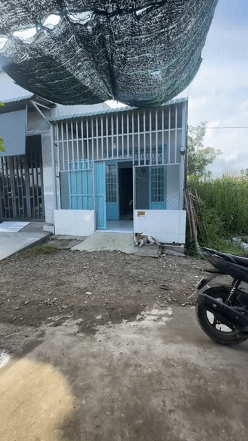 Mua bán Nhà ở Huyện Đức Hòa Long An diện tích 60 m² giá 360 triệu