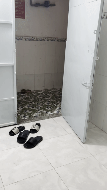 Cho thuê Phòng trọ Thành phố Dĩ An Bình Dương diện tích 24 m² giá 2,3 triệu/tháng