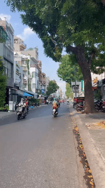 Mua bán Nhà ở Tp Hồ Chí Minh diện tích 48 m² giá 16,5 tỷ
