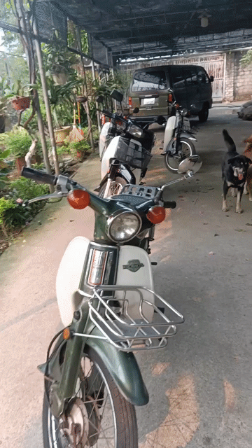 Honda Dream màu Đen. Mua bán Xe máy tại Quận Hai Bà Trưng Hà Nội được đăng bởi lê việt hình 1