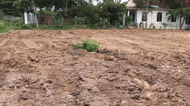 Mua bán Đất Huyện Long Thành Đồng Nai diện tích 3800 m² giá 10 tỷ