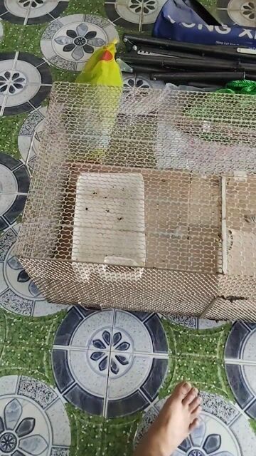 Võng xếp cho bé. Mua bán Nội thất, đồ gia dụng khác tại Huyện Trảng Bàng Tây Ninh được đăng bởi CÁ CẢNH TB hình 1