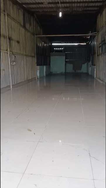 Cho thuê Văn phòng, Mặt bằng kinh doanh Huyện Bình Chánh Tp Hồ Chí Minh diện tích 240 m² giá 10 triệu/tháng