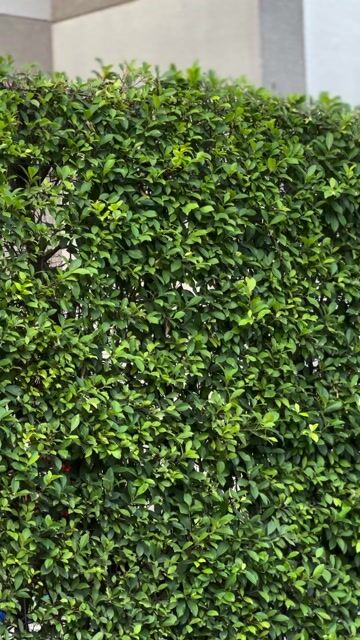 sh 125i chính chủ biển số đẹp. Mua bán Xe máy tại Quận Bình Tân Tp Hồ Chí Minh được đăng bởi Nguyễn Khang hình 1