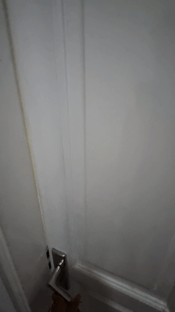 Cho thuê Căn hộ Chung cư Quận Ngũ Hành Sơn Đà Nẵng diện tích 20 m² giá 5,5 triệu/tháng