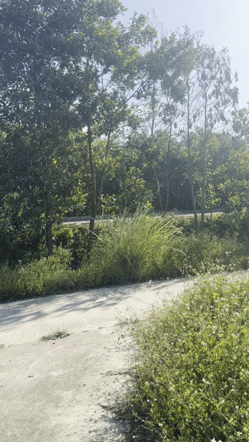 Mua bán Đất Huyện Đông Sơn Thanh Hóa diện tích 90000 m² giá 100 tỷ