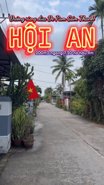 Mua bán Đất Thành phố Hội An Quảng Nam diện tích 200 m² giá 6 tỷ
