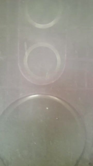 Loa Sony Bass 25 Đen. Mua bán Tivi, Âm thanh tại Thành phố Qui Nhơn Bình Định được đăng bởi Bình Nguyễn hình 1