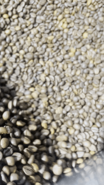 Cà phê hạt KHOCÀPHÊ_GV Robusta S18. Mua bán Đồ ăn, thực phẩm và các loại khác tại Thành phố Vũng Tàu Bà Rịa - Vũng Tàu được đăng bởi KHO CAFE SG hình 1