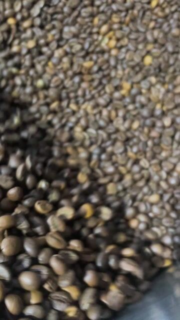 Cà phê hạt KHOCÀPHÊ_GV Robusta S18. Mua bán Đồ ăn, thực phẩm và các loại khác tại Thành phố Vũng Tàu Bà Rịa - Vũng Tàu được đăng bởi KHO CAFE SG hình 1
