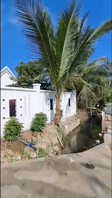 Mua bán Nhà ở Huyện Châu Thành Long An diện tích 886 m² giá 2,99 tỷ