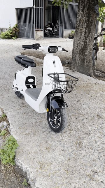 Xe điện màu Trắng đẹp keng. Mua bán Xe đạp tại Huyện Củ Chi Tp Hồ Chí Minh được đăng bởi Minh Trung hình 1
