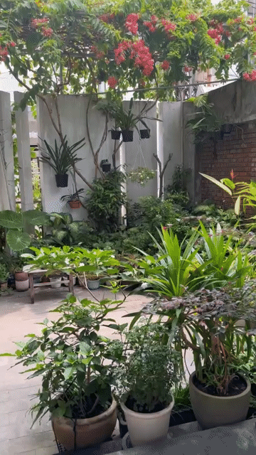 Cho thuê Văn phòng, Mặt bằng kinh doanh Quận Ngũ Hành Sơn Đà Nẵng diện tích 70 m² giá 18 triệu/tháng