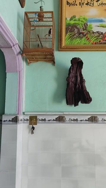 Chim hút mật Đen Đỏ. Mua bán Chim tại Thị xã Tân Uyên Bình Dương được đăng bởi Minh Khang Nguyễn hình 1