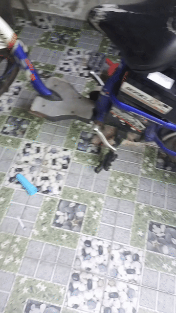 Xe đạp điện cũ . Mua bán Xe đạp tại Huyện Bình Chánh Tp Hồ Chí Minh được đăng bởi MÁY CẮT VẢI KM hình 1